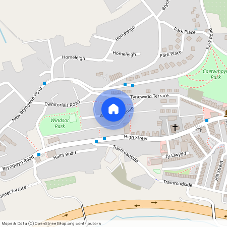 Windsor Aveune, Newbridge NP11