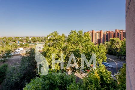 Habitación - Madrid - Alameda de Osuna - 550€ MES - Ref. GN6484859 - Photo 2