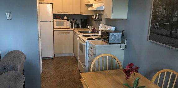 4 1/2 Mont-Laurier, Super Logement à ne pas manqué - Photo 2