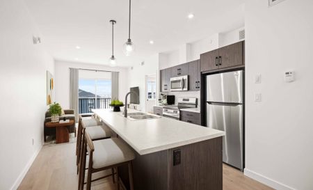 Pine: Black Cabinets – 225 Peguis, Winnipeg, MB - Photo 4