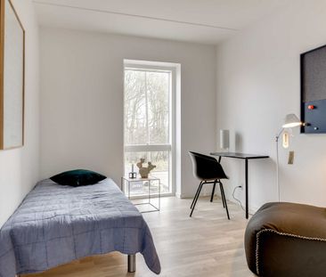 Skønt 4-værelses rækkehus i Hasserislund - Photo 3