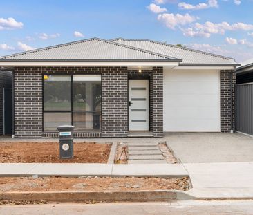 Modern, Low-Maintenance Living - Photo 5