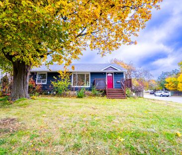 For Lease - 243 Ruggles Avenue Unit# Bsmt #2, Richmond Hill, Ontario - Photo 3