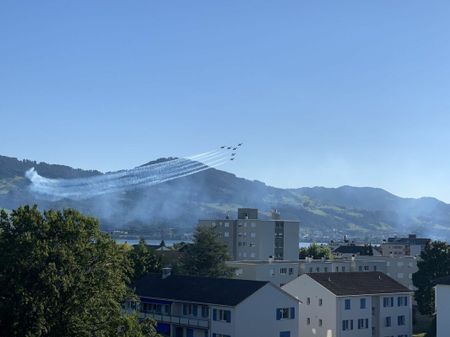 Grosszügige Wohnung mit Seesicht - Photo 4