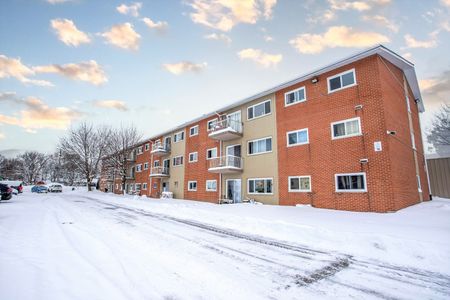 Huron Village Apartments - Photo 3