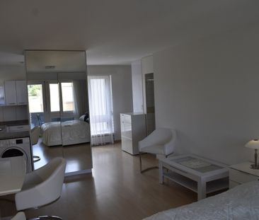 Appartement Dällikon - 1 pièce - Photo 3