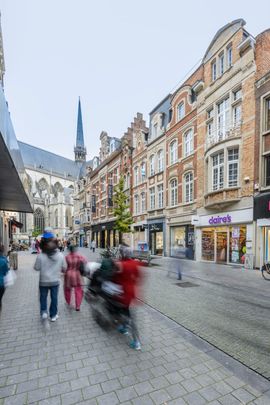 Studentenkamer - Leuven - Photo 1