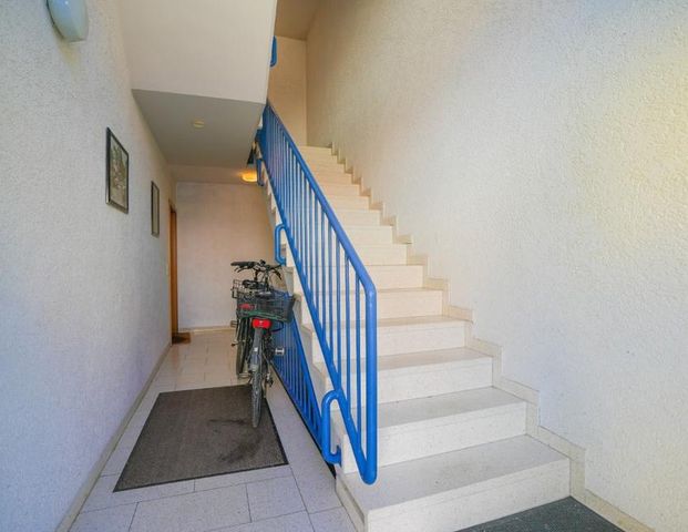 Erstbezug nach Modernisierung direkt am Maudacher Bruch-Ideal für Spaziergänge mit Hund - Photo 1