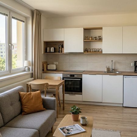Pronájem bytu 3+kk 50 m² - Fotografie 4