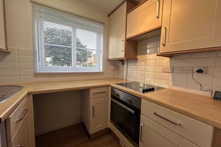 Montgomery Drive - Photo 5