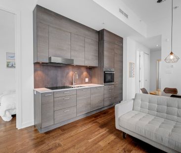 Appartement à louer à Montréal (Ville-Marie) - Photo 2