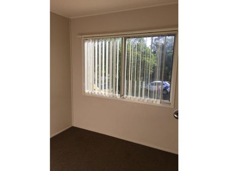 81 Edmonds Street, Bucasia - Photo 4