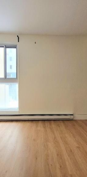 Appartement 3 ½ à louer Montcalm / Saint-Sacrement janvier 2026 - Photo 1