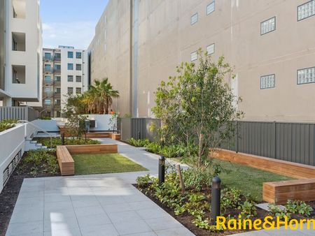 Stunning Sunny, Leafy Apartment - Photo 2