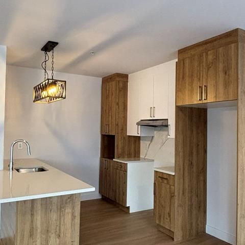 430 Boul. du Bord de l'Eau - Photo 1