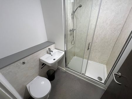 Studio Flat, Norfolk Street, L1 - Photo 4