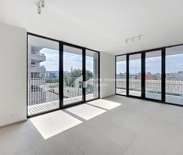 Superb new 2 bedroom apartment with terrace - Photo 4