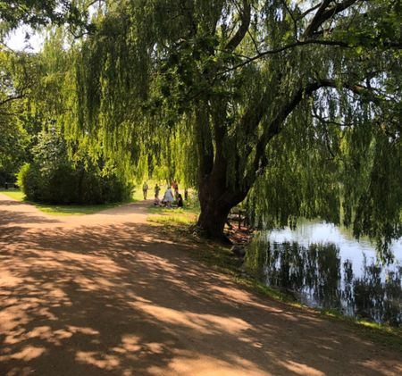 Rummelig og superflot 3 værelses lejlighed på attraktiv beliggenhed i Aalborg - Photo 2