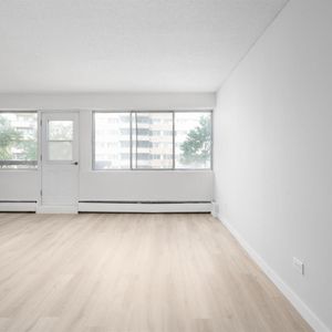 Sunny And Renovated 4 1/2 - Saint Laurent - 335 Boulevard Deguire, Saint-Laurent - Photo 2