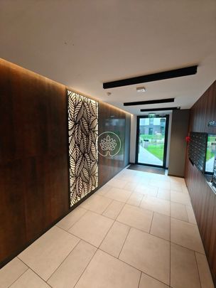 Do wynajęcia: Kawalerka 34 m - Фото 1