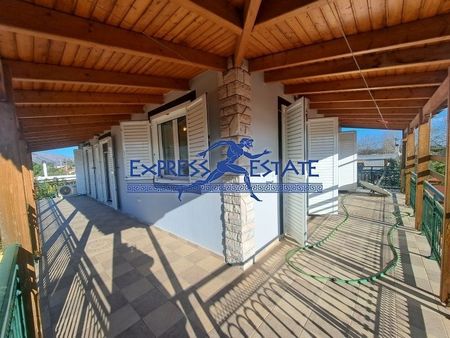 Μονοκατοικία για ενοικίαση Άγιος Παντελεήμονας (Μαραθώνας) - Φωτογραφία 5