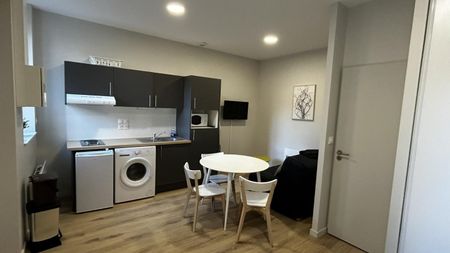 Location Appartement 1 pièce 23m² ROANNE 42300 - Photo 3