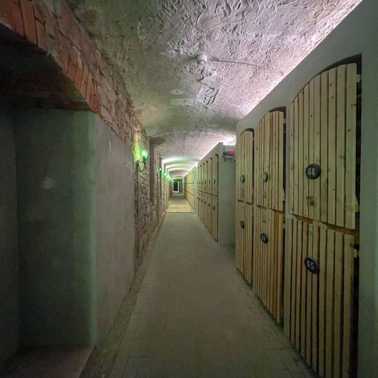 Ihr Traum vom Wohnen wird wahr! Luxus Suite - 4 Zimmer, Küche, 2 Bäder in Toplage - Photo 1