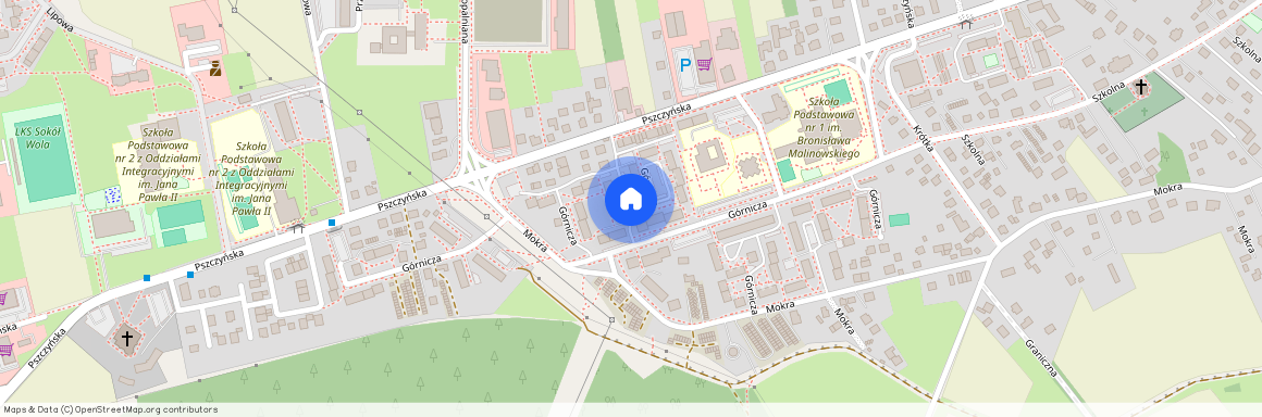 ul. Górnicza, Wola, Miedźna, pszczyński, śląskie