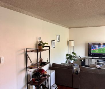 Bondi Beach - Photo 6