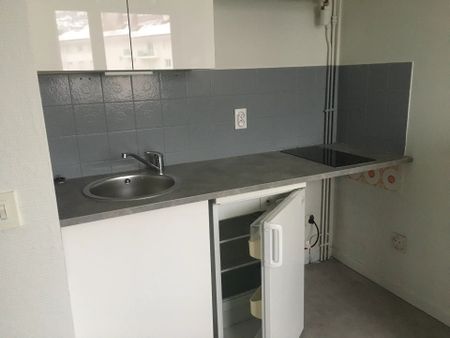 Location Appartement 1 pièce 24m² SALLANCHES 74700 - Photo 3