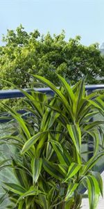 Upper Canada Drive - Photo 3