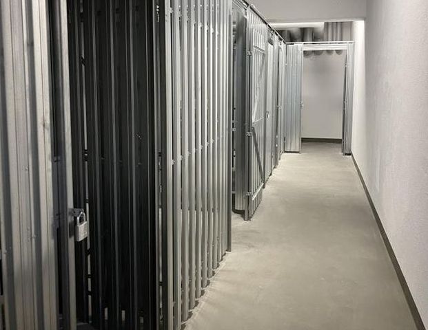 Erstbezug! Modern sanierte 2-Zimmerwohnung unterm Dach sucht perfekten Mieter! - Foto 1