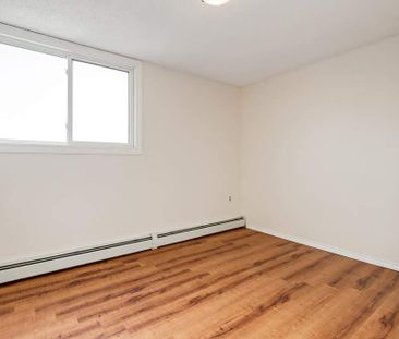 Renovated Suite - 2 Bedroom - Photo 5
