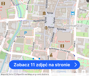 Mieszkanie w stylu paryskim w centrum Rybnika, umeblowane bez prowizji - Zdjęcie 1