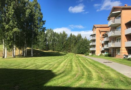 Uppfinnarvägen, Skellefteå - Photo 3