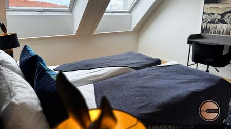 LA VIE URBAINE AU-DESSUS DES TOITS DE ZURICH-OUEST - Foto 5