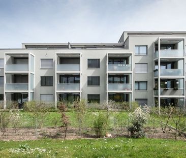 2.5 Zimmer, 50 m², 2. Stock - Photo 5