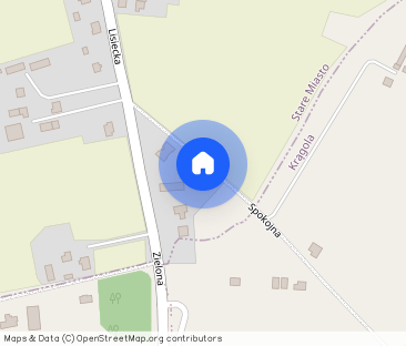 Wynajmę dom nad zalewem w Starym Mieście - Najem Okazjonalny - Photo 1