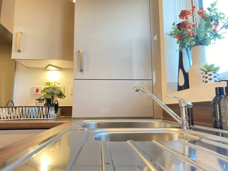 The Plimsoll - Photo 4