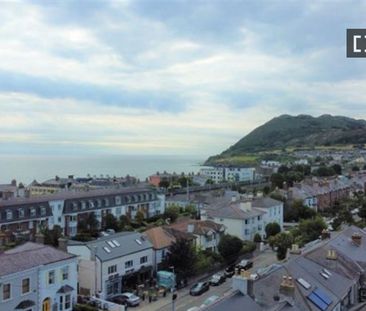 Room in shared apartment for rent in Bray, Dublin. - Photo 6