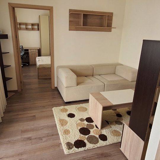 Apartment for rent in Cluj-Napoca, 5 minutes walk from the University of Medicine and Pharmacy and 7 minutes walk from the University of Agricultural Sciences and Veterinary Medicine, consisting of a living-room, a kitchen and one bedroom, on Pastorului street - Fotografie 1