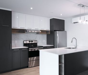 9675 Av. Papineau - Photo 1
