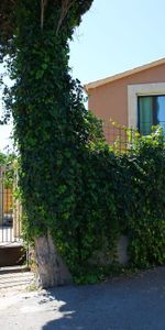 9 Carrer des Torrent, Caimari, Balearic Islands 07314 - Photo 3