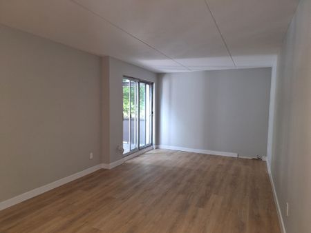 Large Two Bedroom Apartment - Photo 3