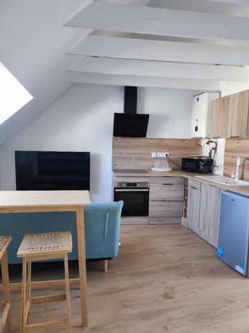 Appartement Douarnenez 1 pièce 19.12m2 - Photo 3