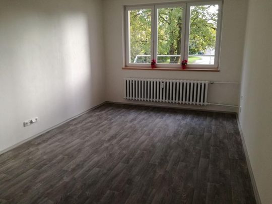 Pronájem bytu 2+1 55 m2 - Photo 1