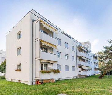 Willkommen zu Hause! - Foto 3