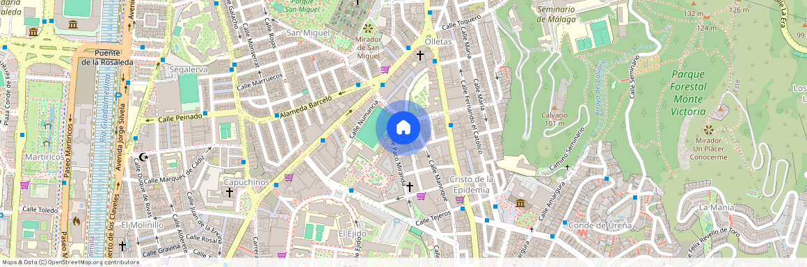 Cristo de la Epidemia, Málaga