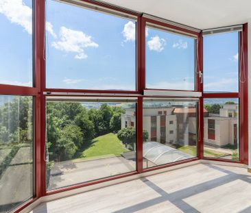 APPARTEMENT À LOUER DANS QUARTIER TRÈS ENSOLEILLÉ ET FAMILIAL - Photo 3