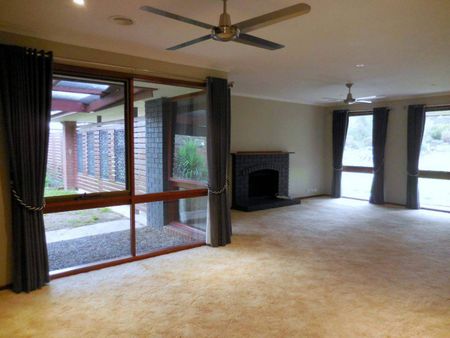 Room to Move - Photo 5